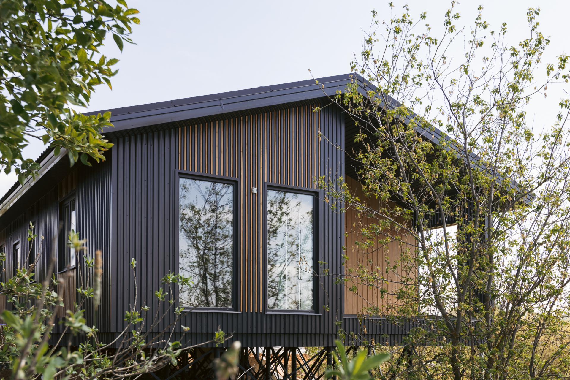 Название: «Кощаково»